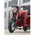 1000w Eec Electric Tricycle Model For Cargo